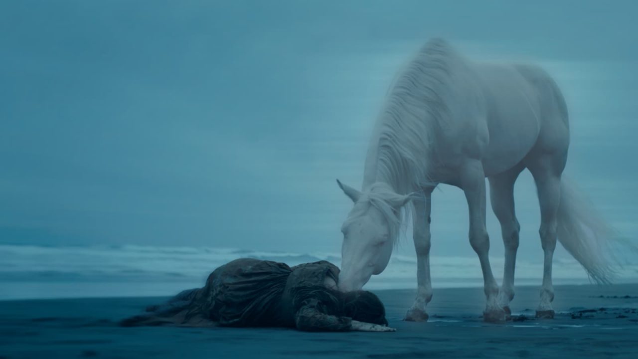 A white horse smelling a person lying on a beach