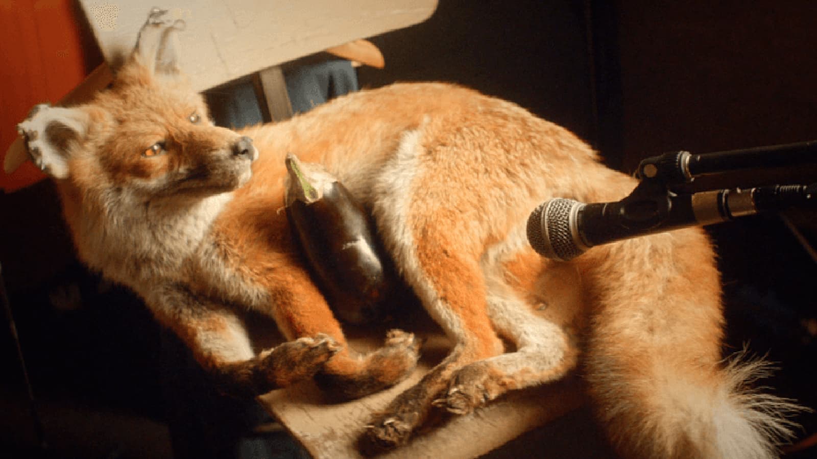 Art of Foley set content featuring a fox